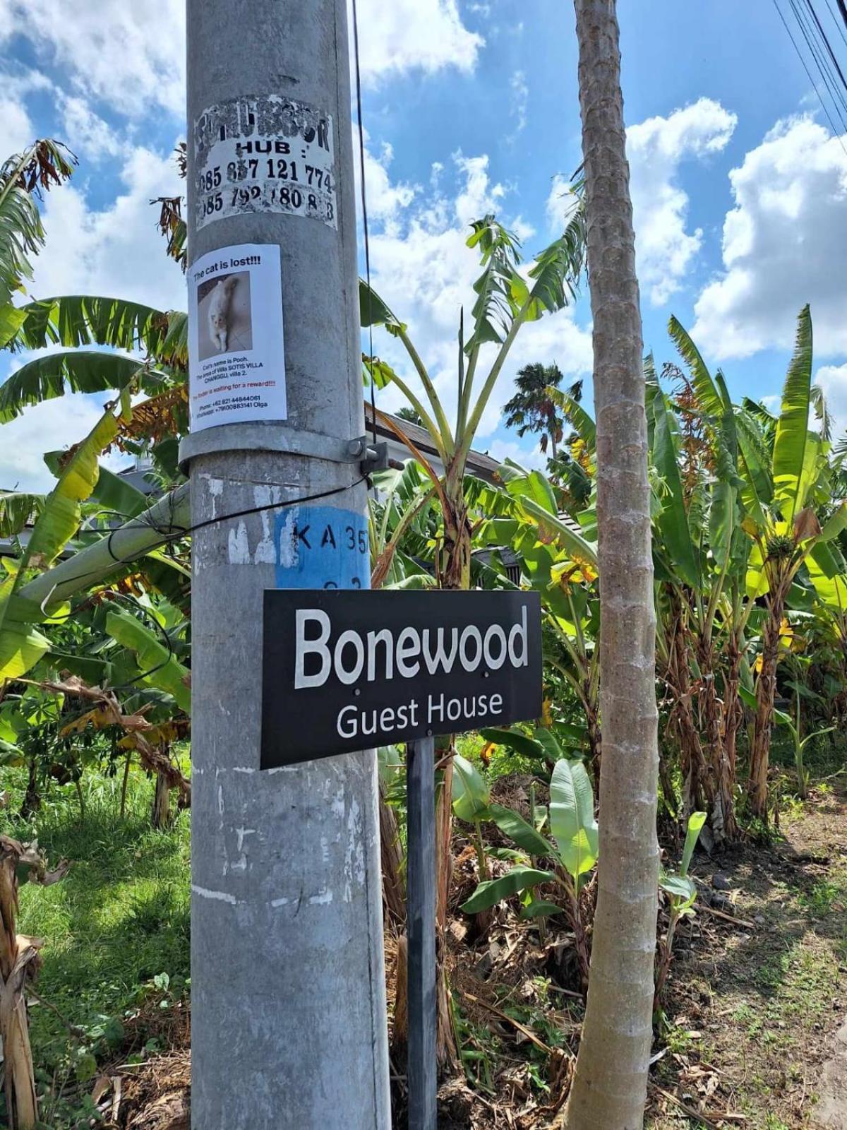 Bonewood Guesthouse Canggu  Bagian luar foto
